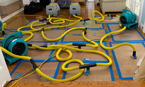 Professional Flood Damage Restoration technician working in Woodworth, ND