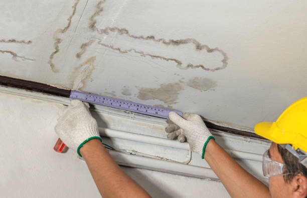 Affordable Water Damage Repair solutions in Woodworth, ND